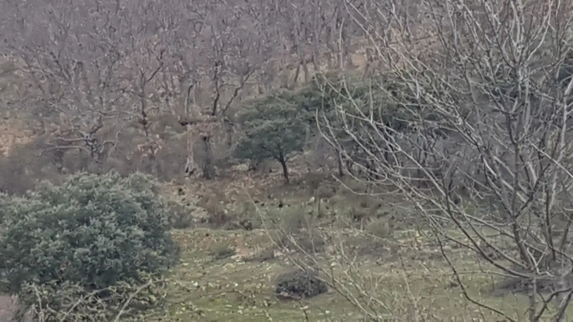 Terreni e lotti in vendita a Pl Poligono 6, imagen 6