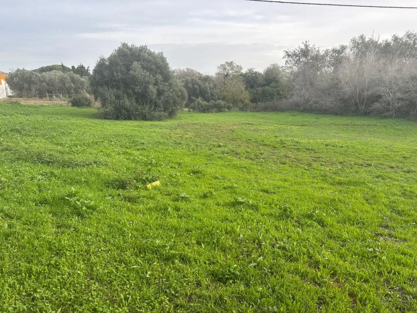 Terreno en venta en Vejer de la Frontera
