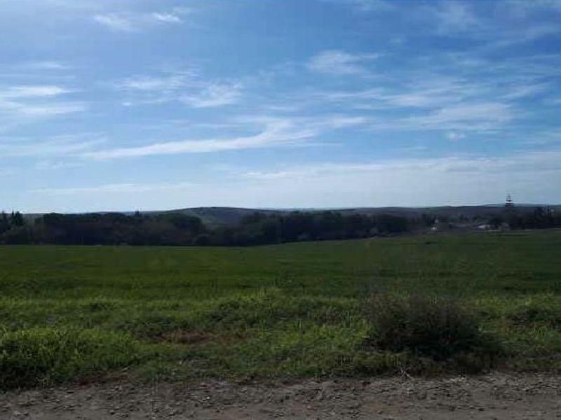Residencial en venta en Trebujena