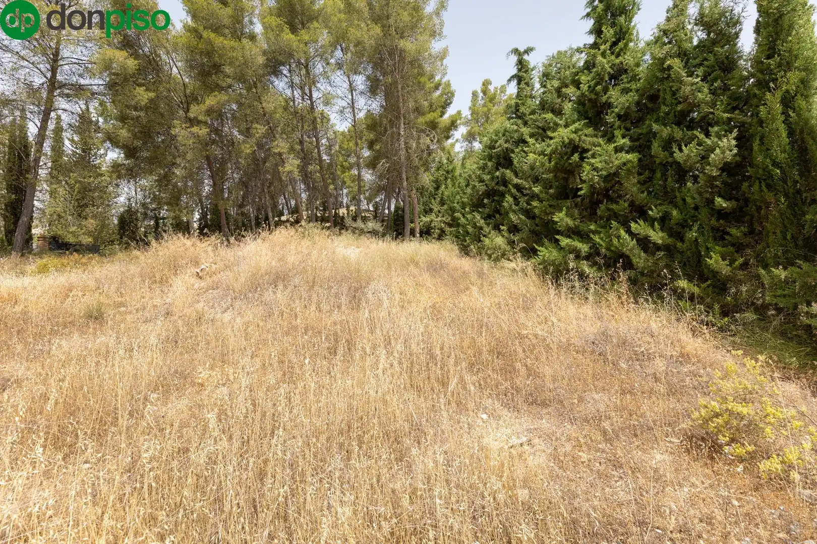 Terrenos y solares en venta en Calle de los Poetas Populares 1, imagen 15