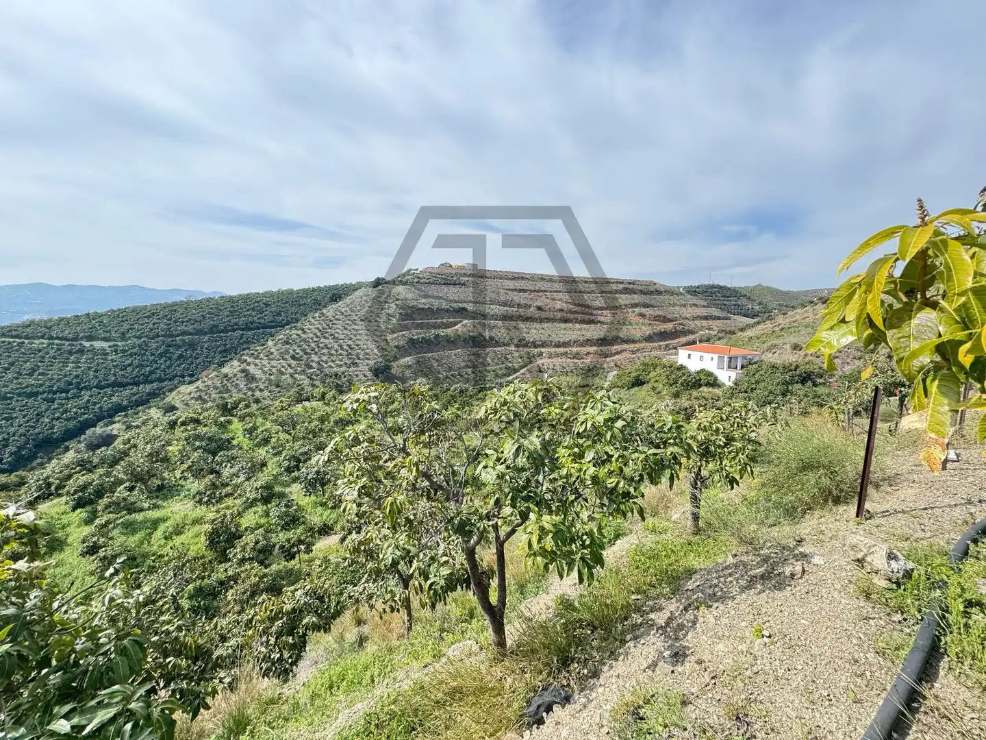 Rustikales Grundstück zum Verkauf in Atalaya Baja, imagen 5