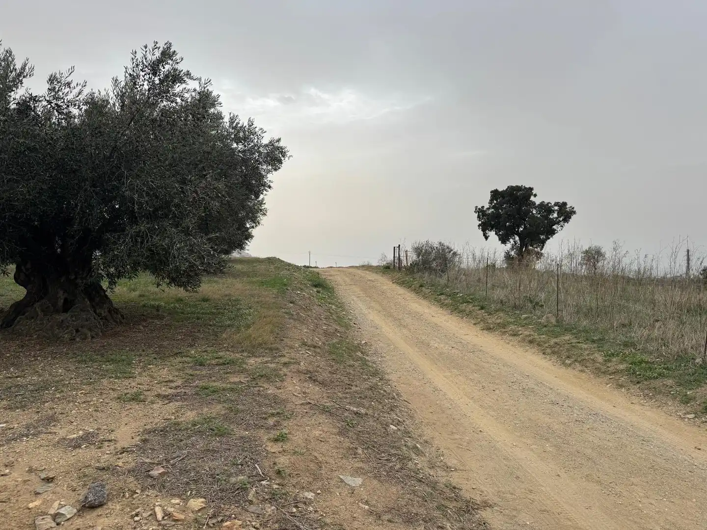 Rustikales Grundstück zum Verkauf in Carrer Carrer Dalt, imagen 13
