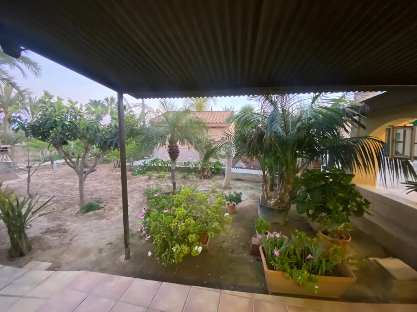 Jardí de Finca rústica en venda en Elche / Elx amb Jardí privat, Terrassa i Piscina