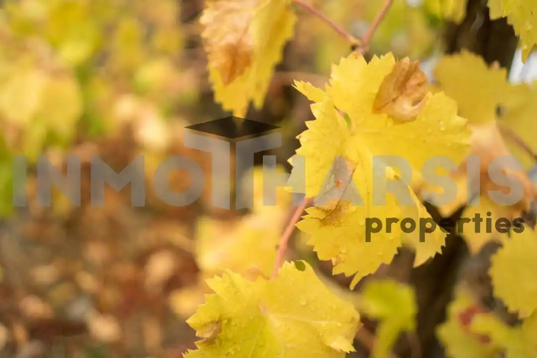 Casa o xalet en venda en Abrucena amb Jardí privat, Terrassa i Moblat