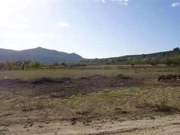 Terreno rústico en venta en Hondón de las Nieves / El Fondó de les Neus
