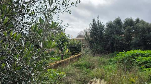 Foto 2 von Residential zum Verkauf in Sant Llorenç des Cardassar, Illes Balears