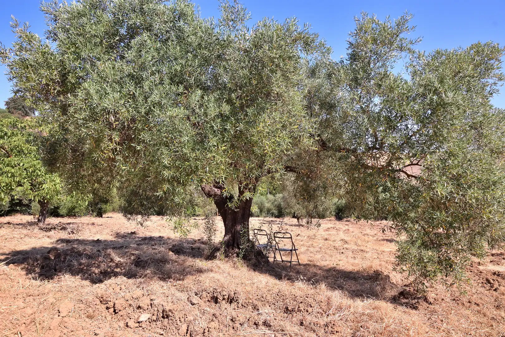 Country house zum Verkauf in Ronda mit Klimaanlage und Terrasse