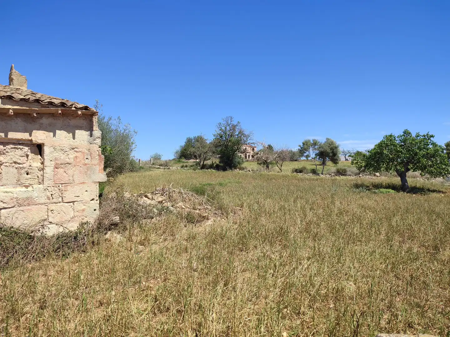 Rural land for sale in Vilafranca de Bonany, imagen 4