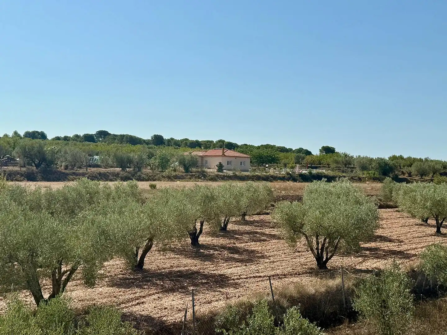 Maison à vendre à Onil, imagen 24
