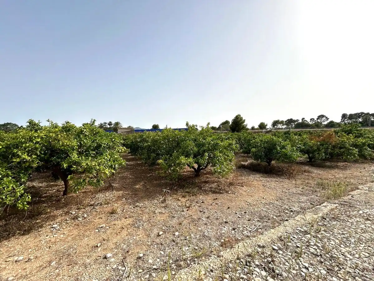Terrenys i solars en venda a Ondara, imagen 39