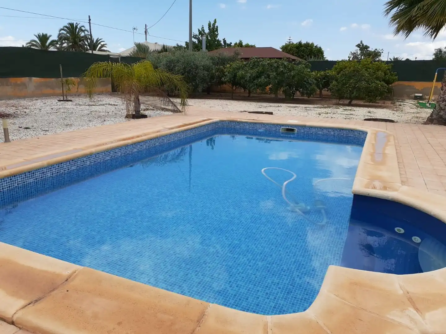 Villa mit Pool zur Miete in Altabix-3 3