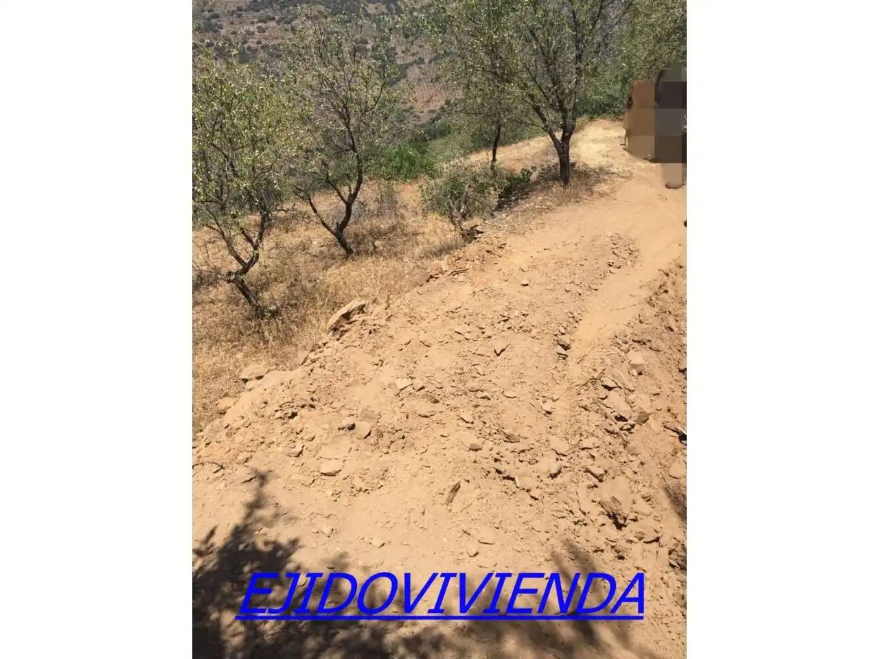 Terreno rustico in vendita a Bayárcal, imagen 5