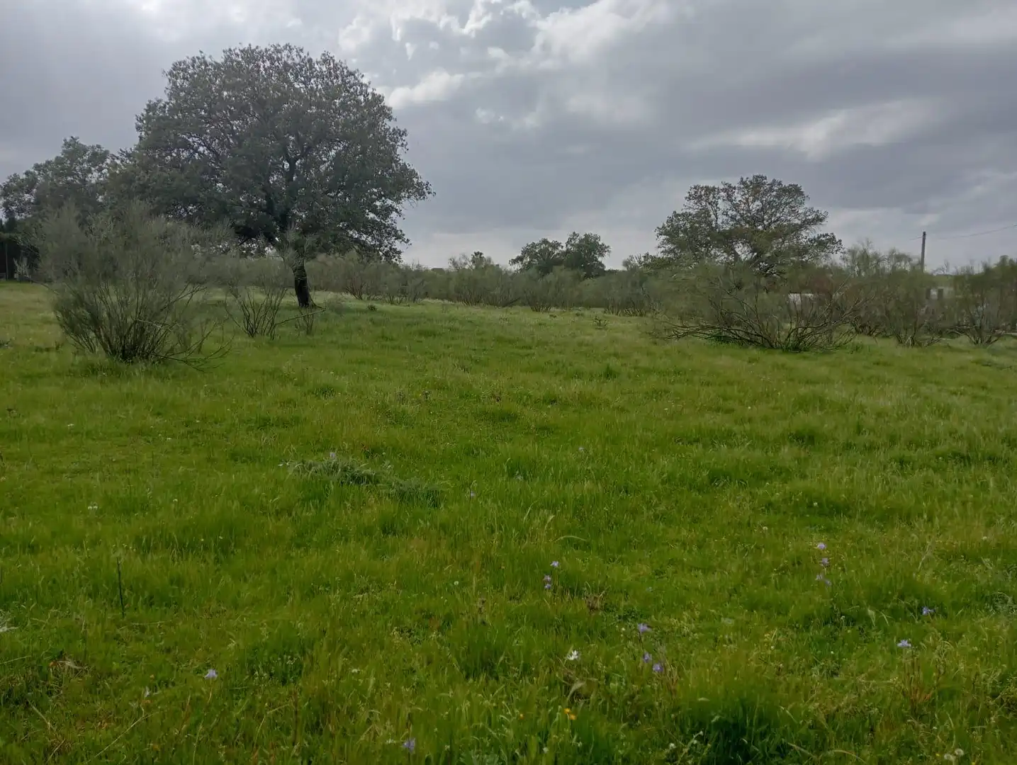 Grundstücke und Bauplätze zum Verkauf in Castilblanco de los Arroyos, imagen 5