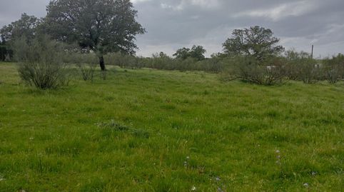 Magnífica parcela urbana en la Urb. Sierra Norte  Castilblanco de los Arroyos!, imatge 5