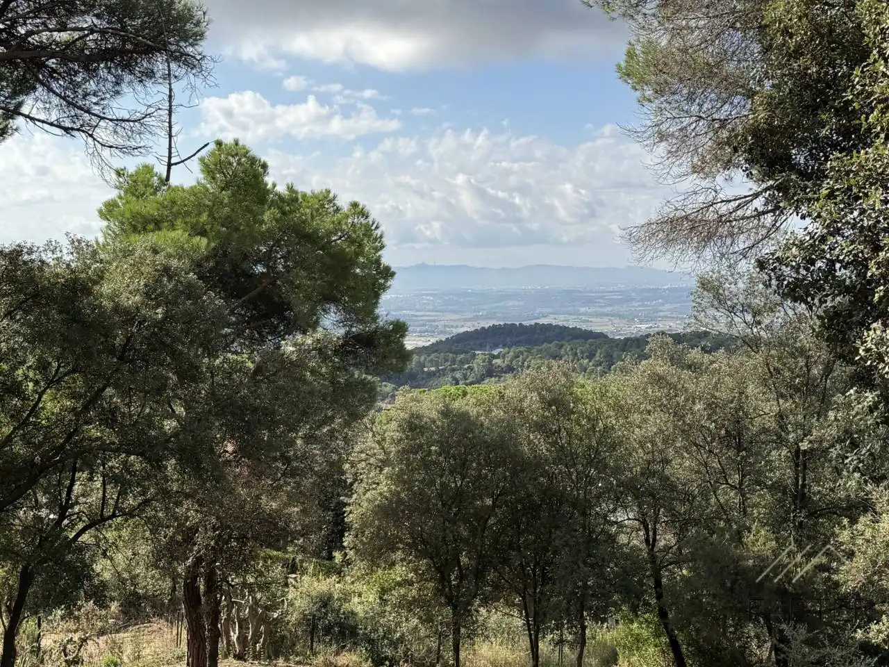 Rustikales Grundstück zum Verkauf in Avenida Castell de Montbui, imagen 8