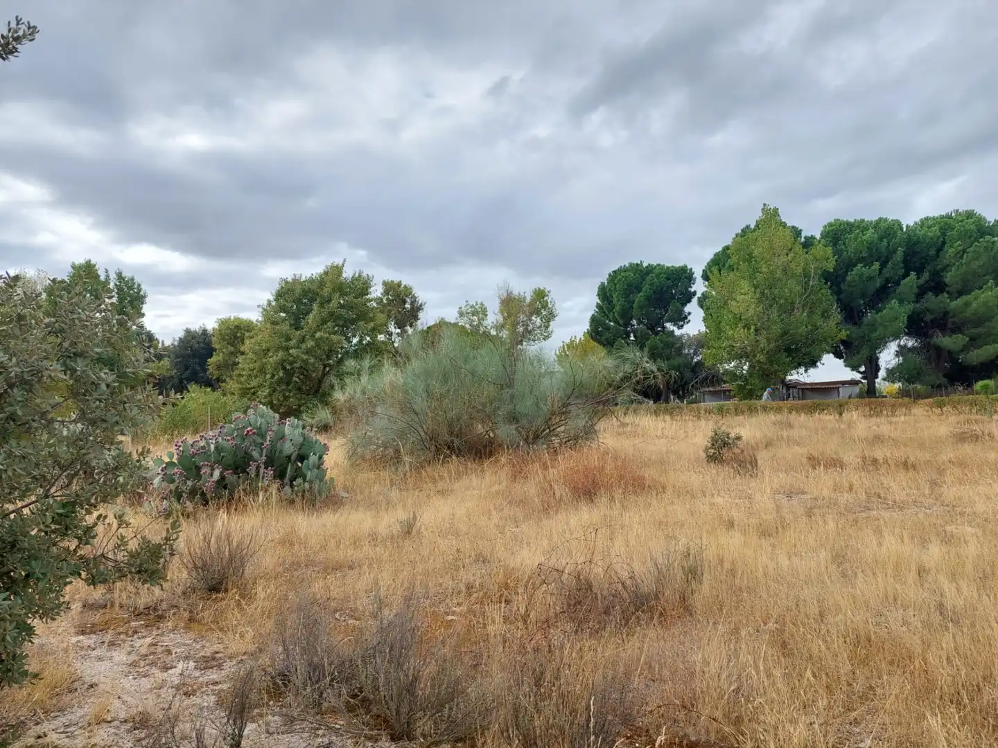 Terreni e lotti in vendita a Santa Cruz del Retamar pueblo, imagen 20