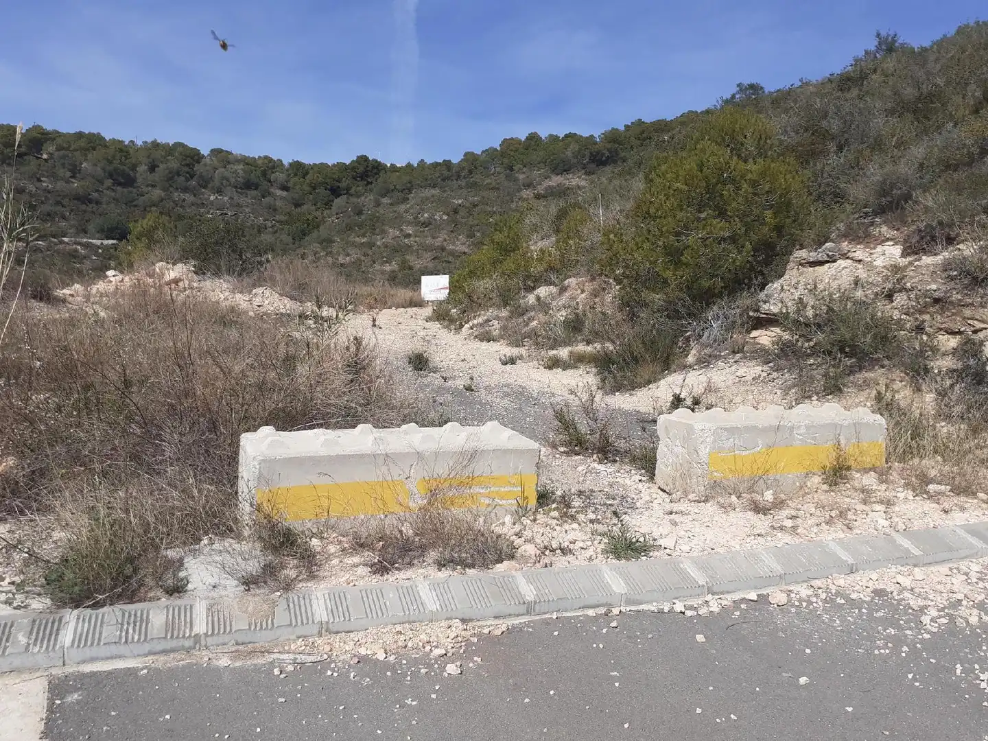 Lands and plots for sale in Roda de Barà, imagen 6
