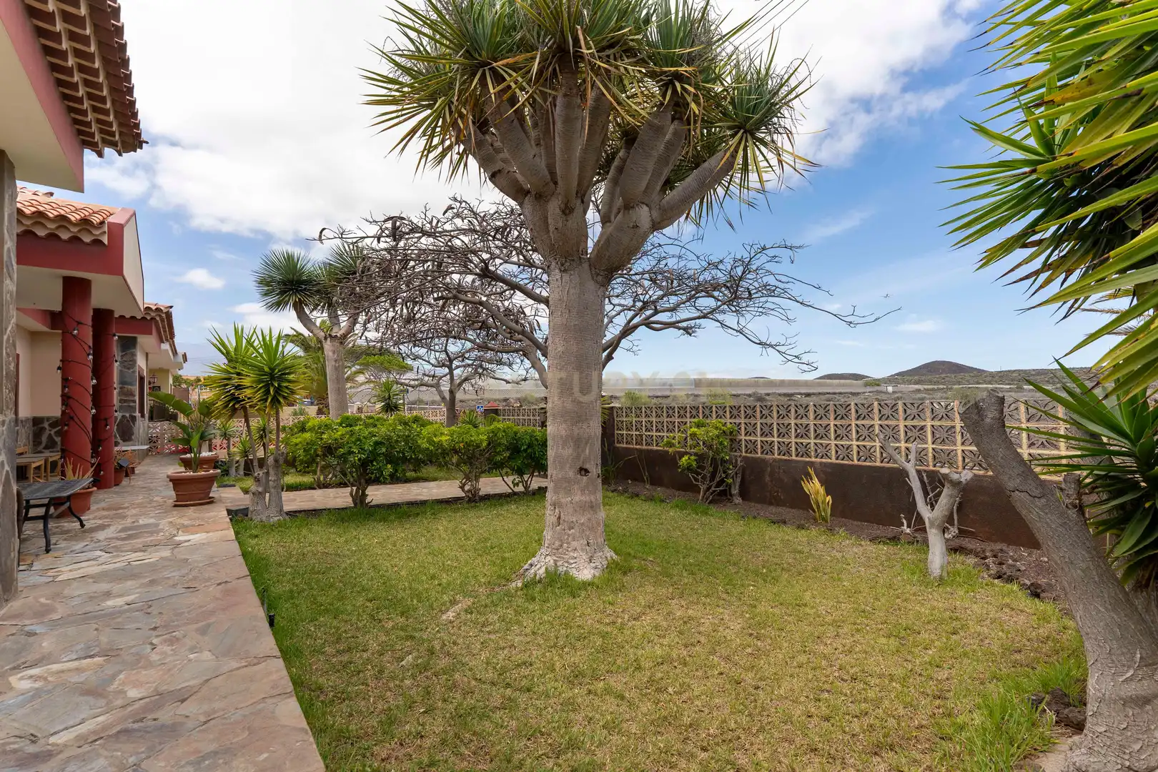 Jardín de Casa o chalet en venta en Arona con Piscina