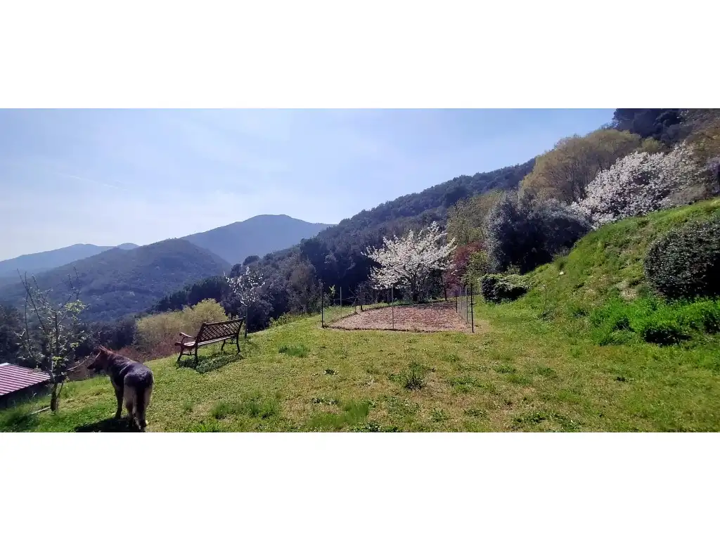Finca rústica en venta en Amer con Aire acondicionado