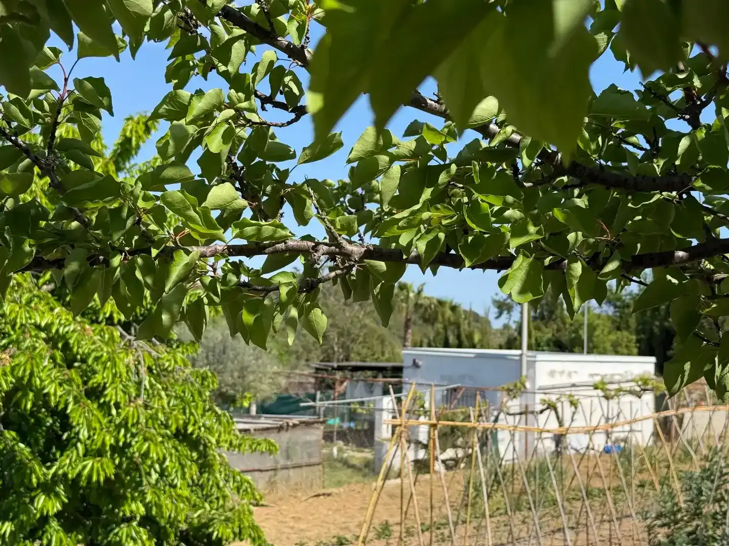 Terrenys i solars en venda a Castellnou - Can Mir - Can Solà, imagen 3