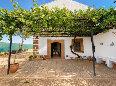 House with garden for sale in DISEMINADOS