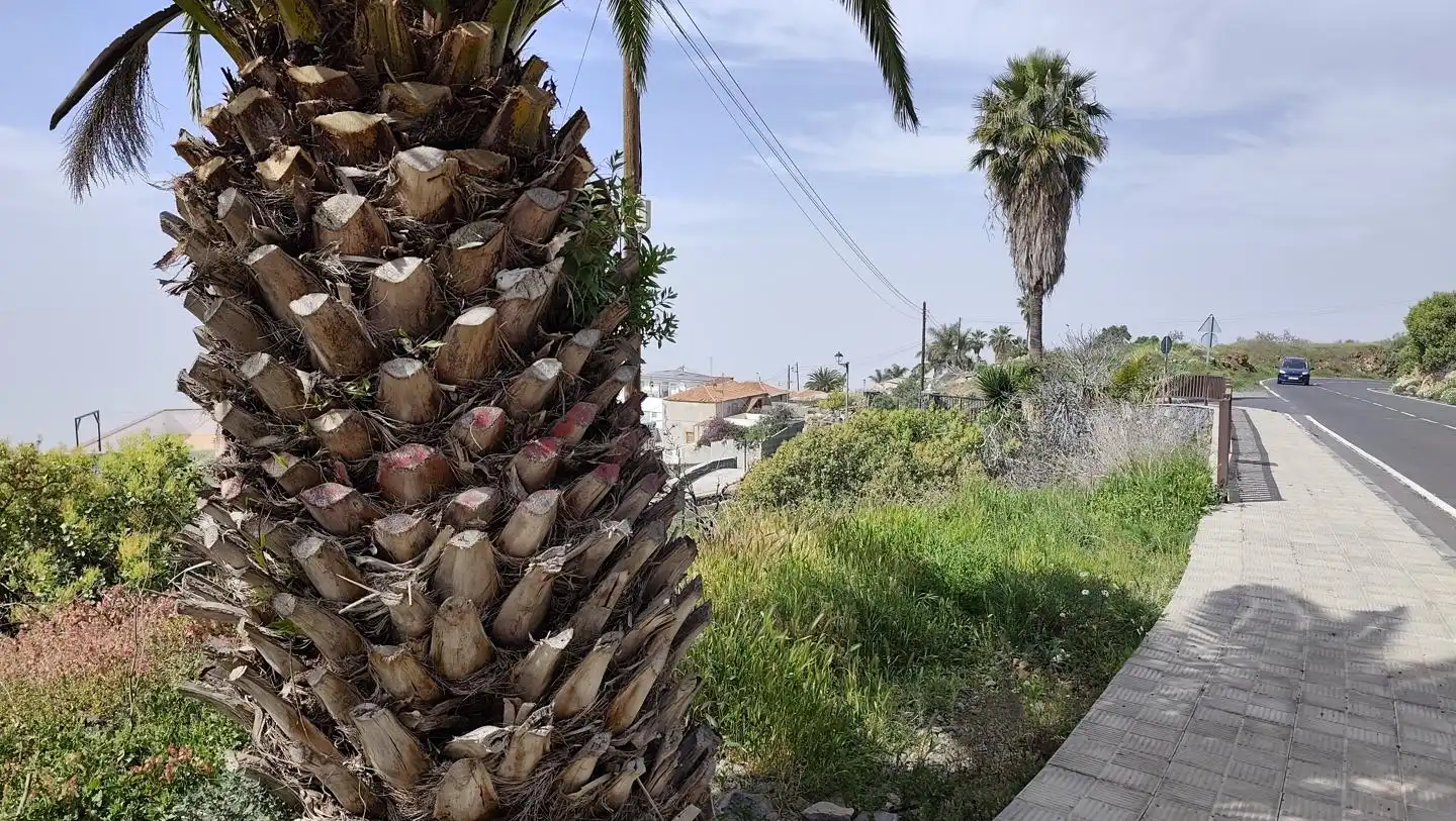 Lands and plots for sale in Guía de Isora interior, imagen 11