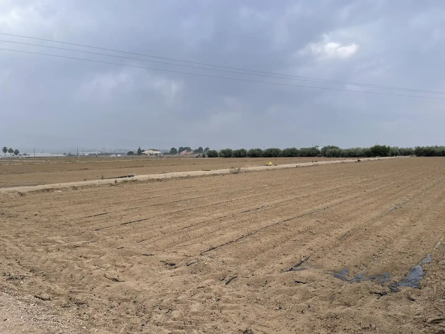 Lands and plots for sale in de Bodega, imagen 5