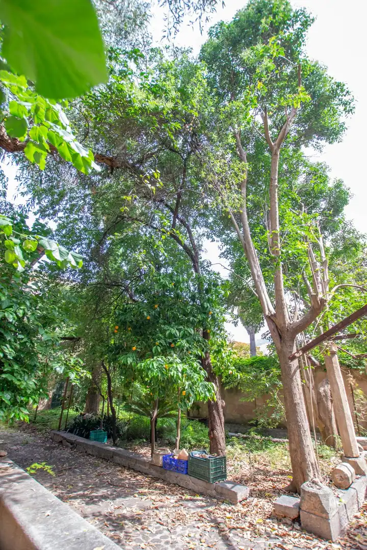 Detached house with garden for sale in Sóller, imagen 23