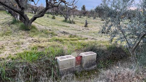 Foto 4 de Terreno en venta en Santa Isabel,  Zaragoza Capital