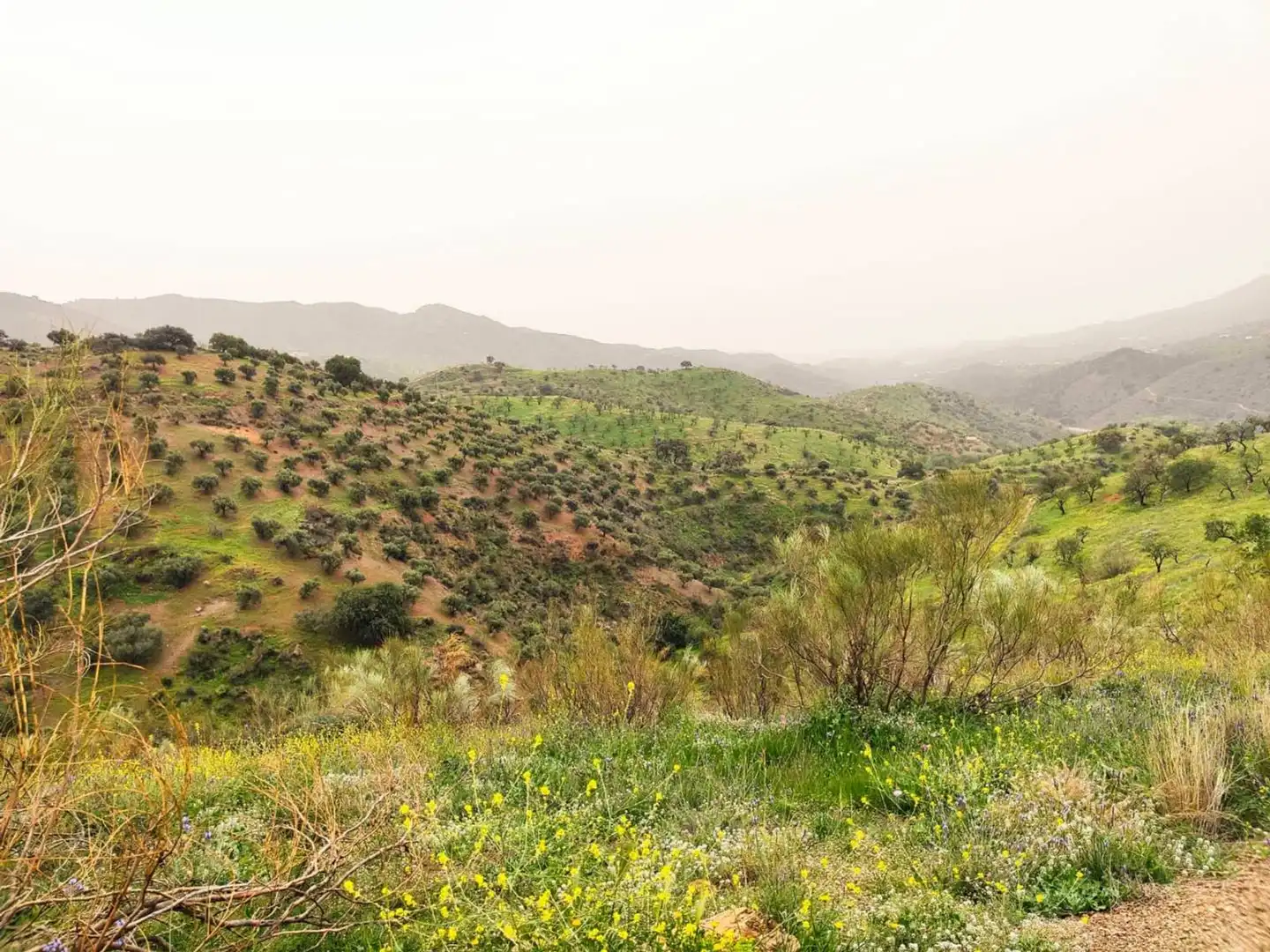 Residential zum Verkauf in Alegría de la Huerta- Jardín de Málaga