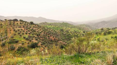 Foto 5 de Residencial en venda a Alegría de la Huerta- Jardín de Málaga, Málaga Capital