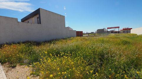 Se vende solar en el poligono 20 tomelloso con 230 m2 y 12 metros de fachada, immagine 4
