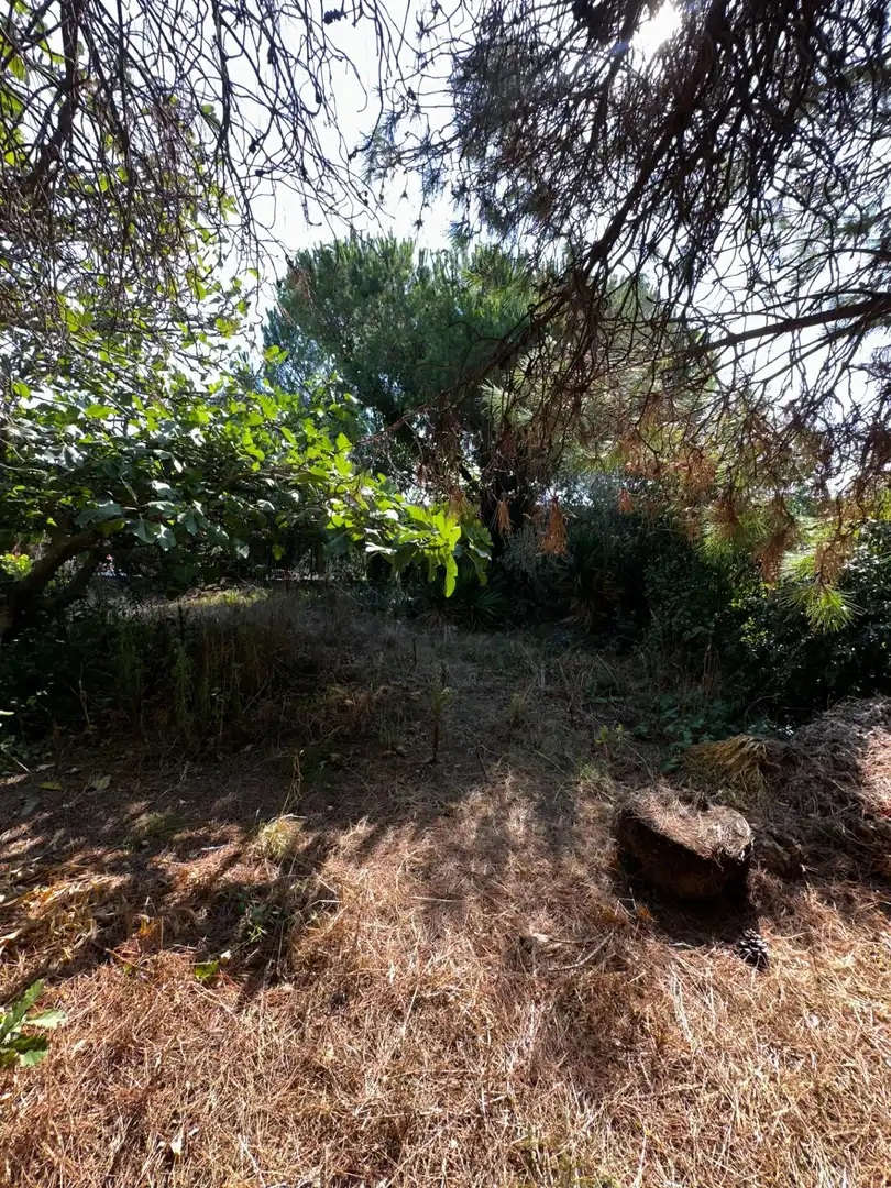 Casa o xalet en venda en Tordera