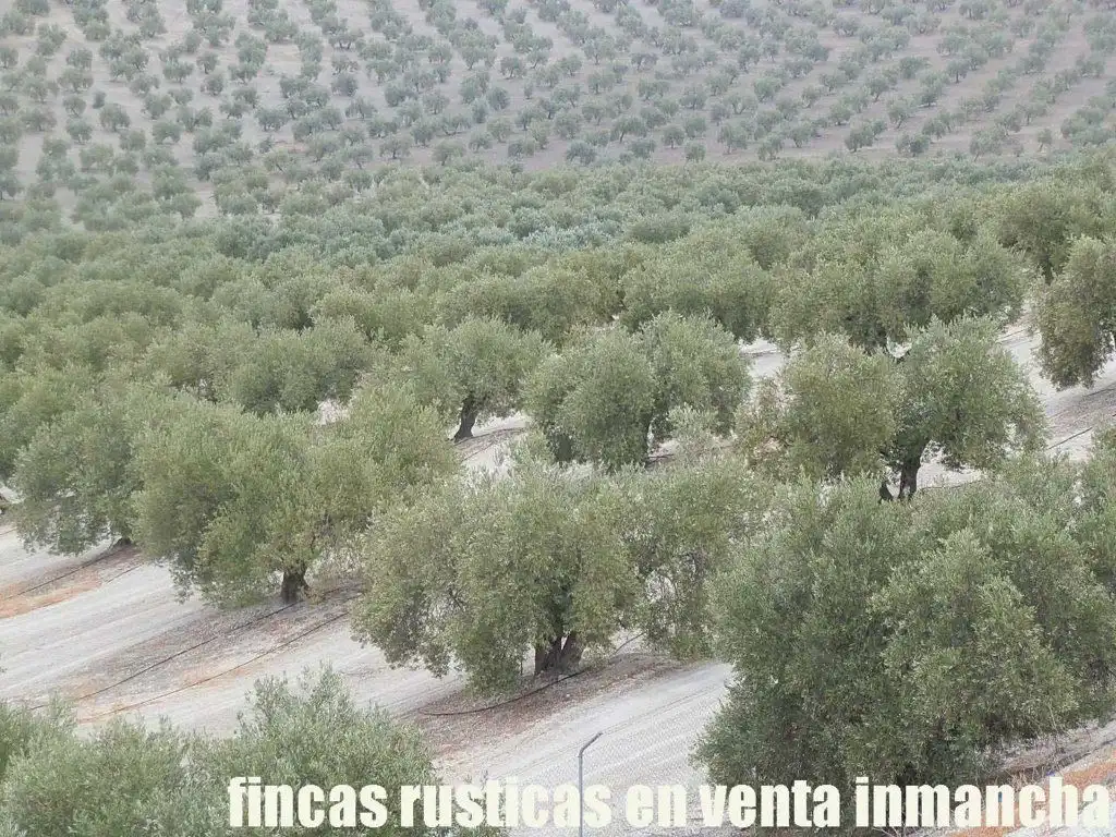 Terreni e lotti in vendita a Andújar, imagen 15