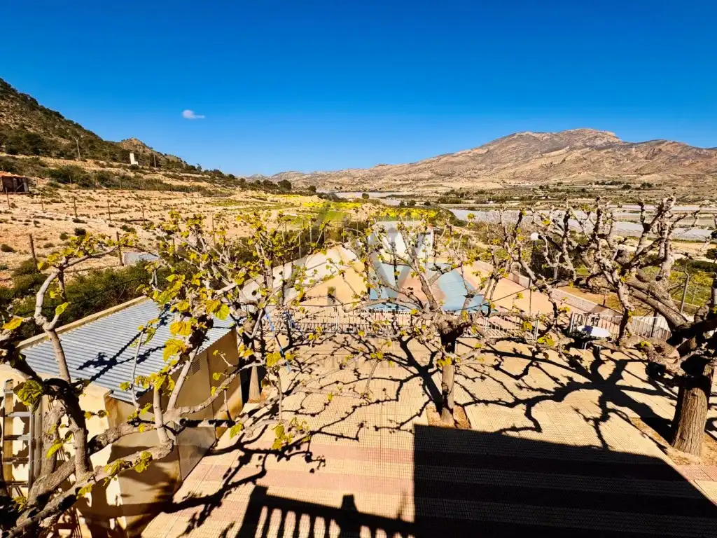 Villa avec piscine à vendre à Poligono 1 Paraje 98 La Serreta, imagen 25