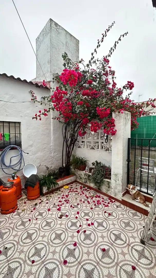 Detached homes for sale in Aznalcázar
