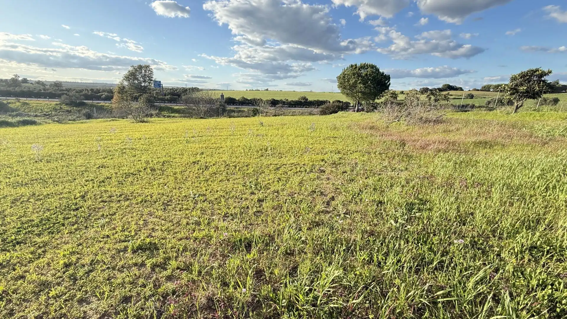 Terreno en venta en Gibraleón