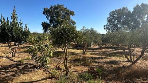 Photo 2 of Country homes for sale in Carmona, Sevilla