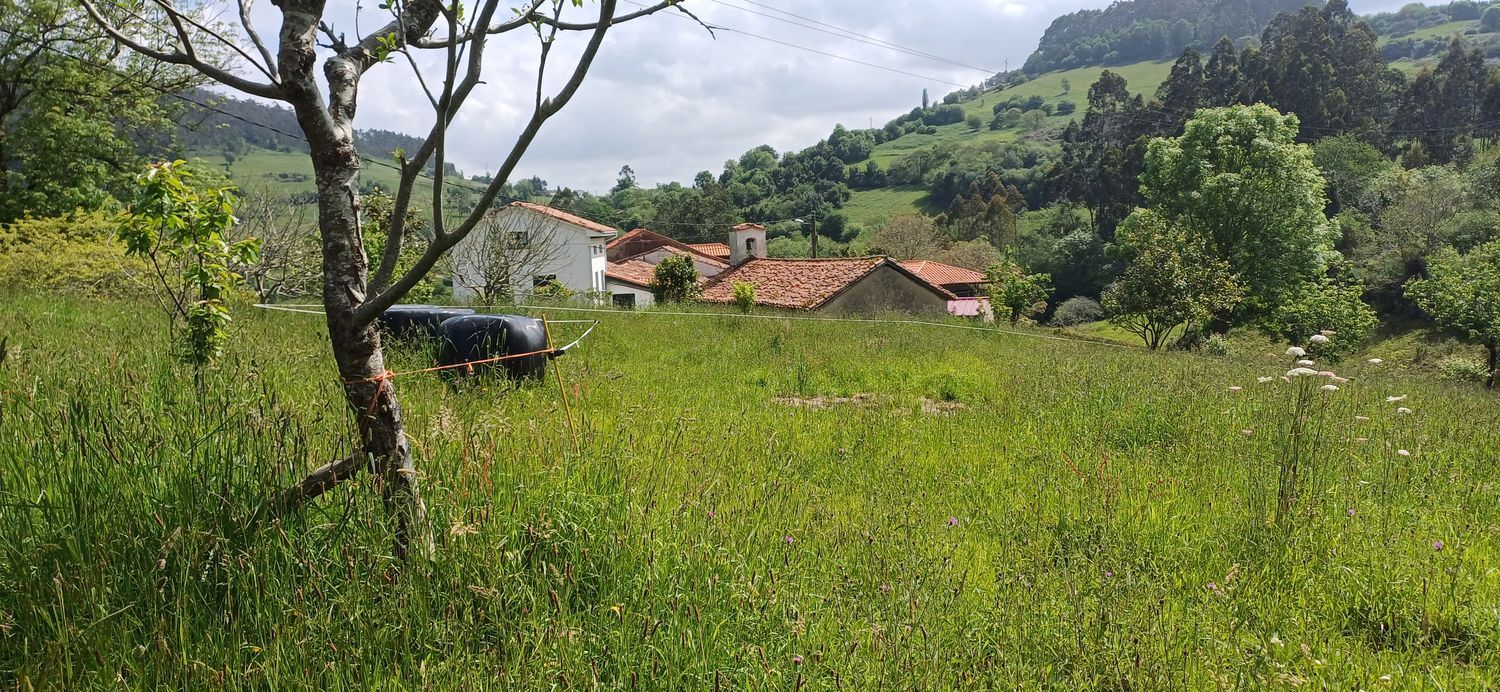 Residential for sale in Illas