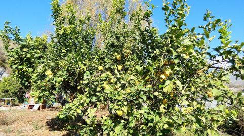 Photo 3 of Country house for sale in Los Tablones - La Garnatilla, Motril