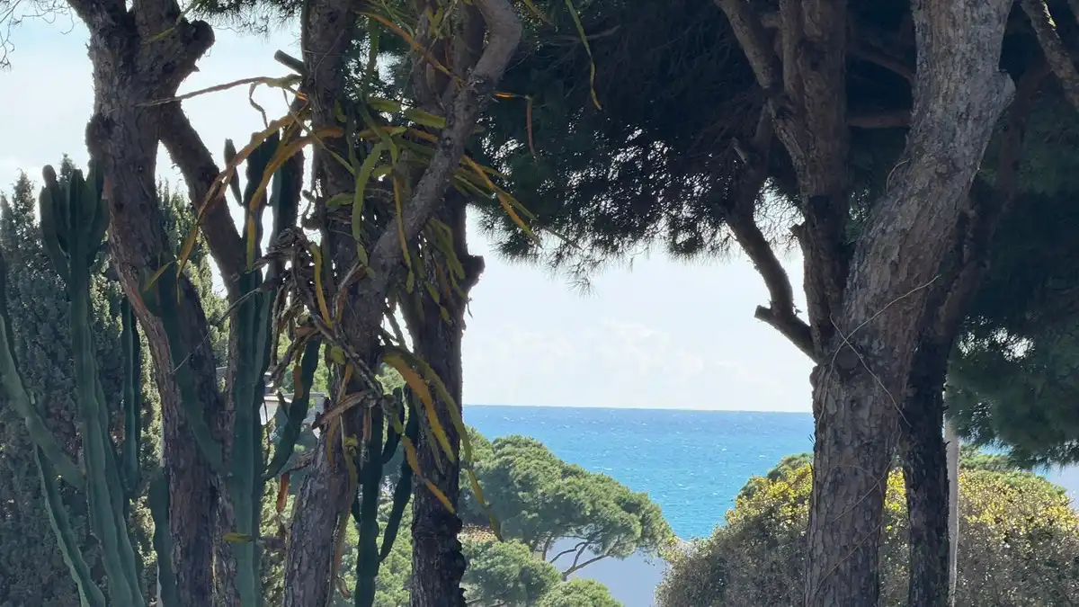 Garten von Gebäude zum Verkauf in Riviera del Sol