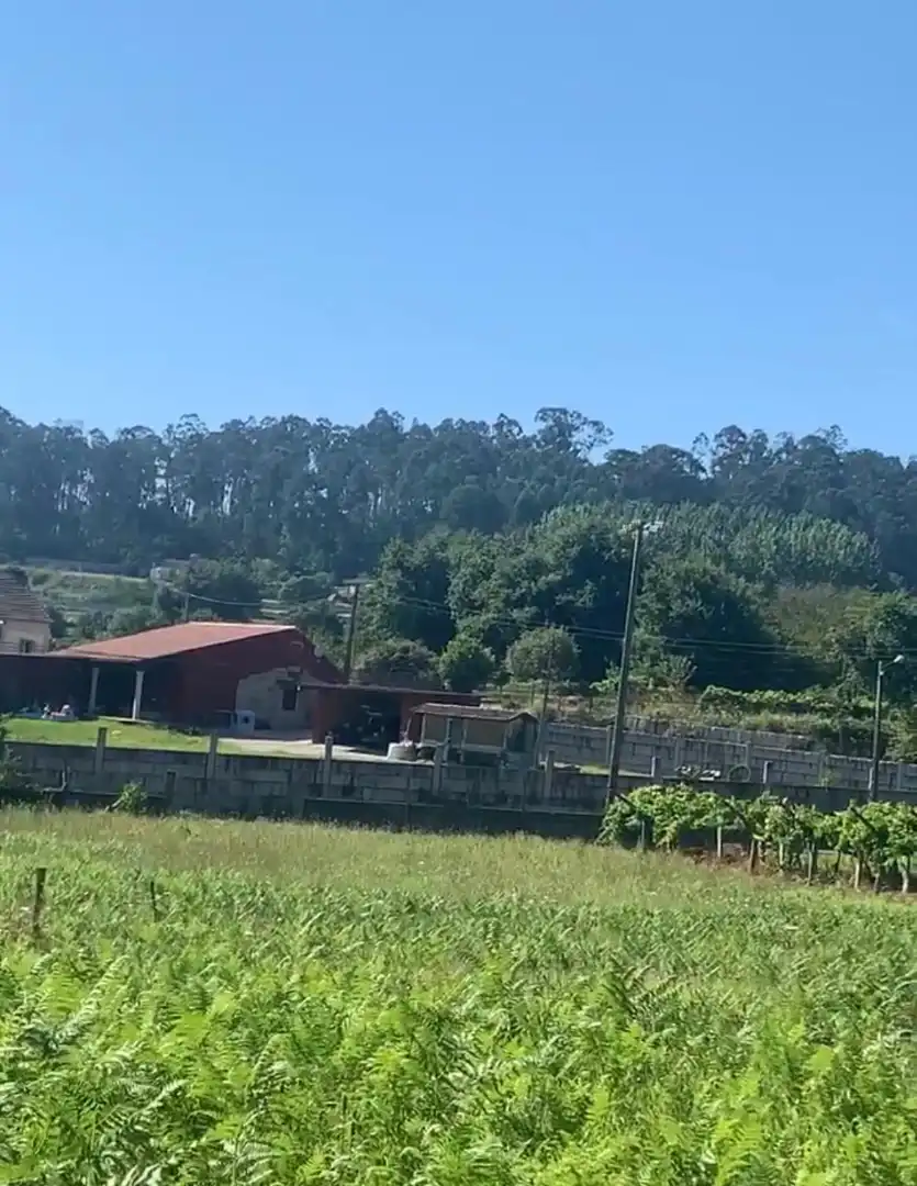 Lands and plots for sale in Barrio Mallón 40, imagen 5