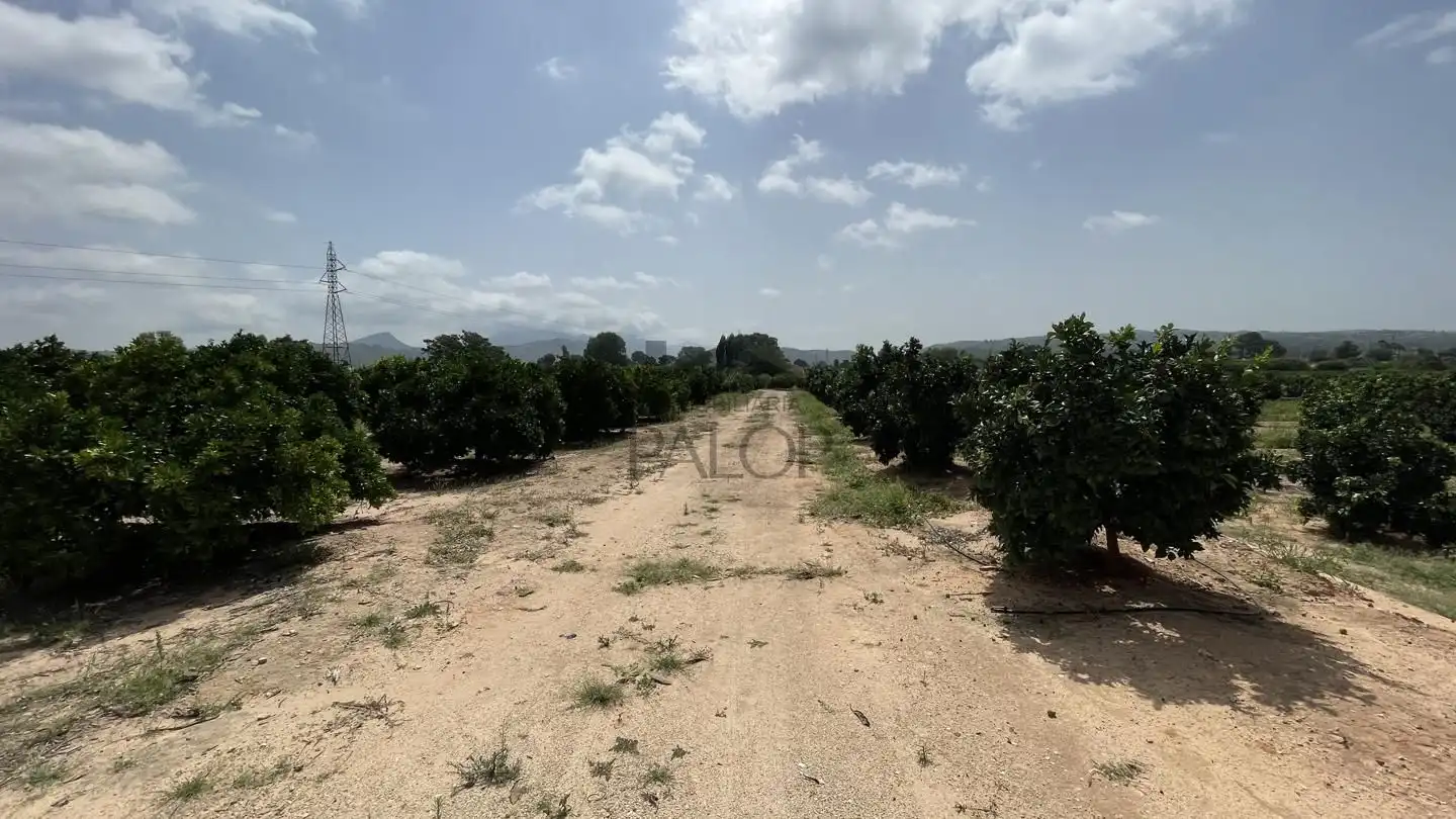 Finca rústica en venda en Alzira