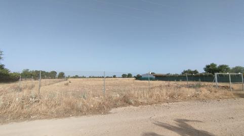 Foto 3 de Terreno en venta en Cm-3109, Alhambra, Ciudad Real