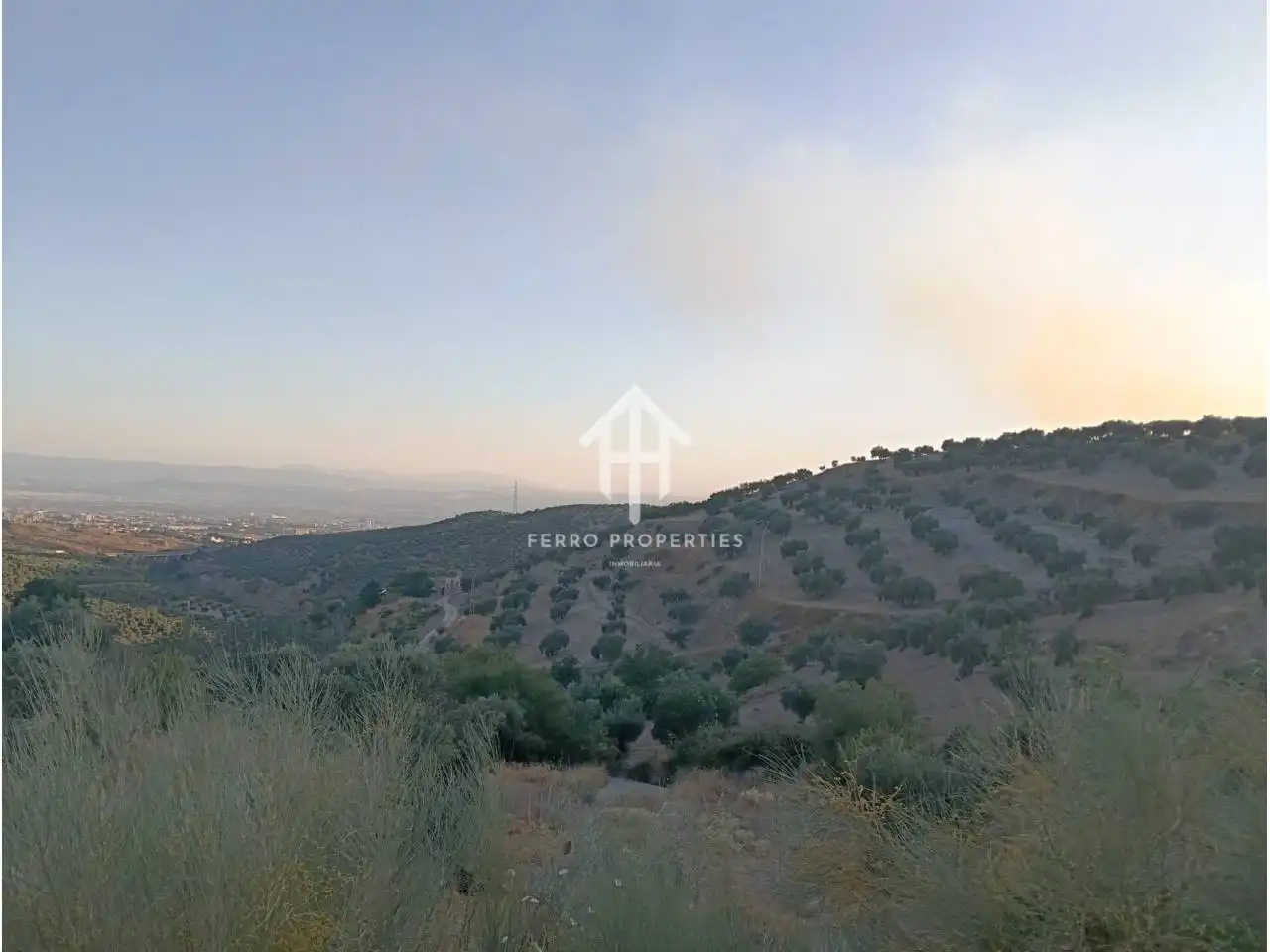 Terreno rustico in vendita a Camino Yeseros de Nivar 1, imagen 3