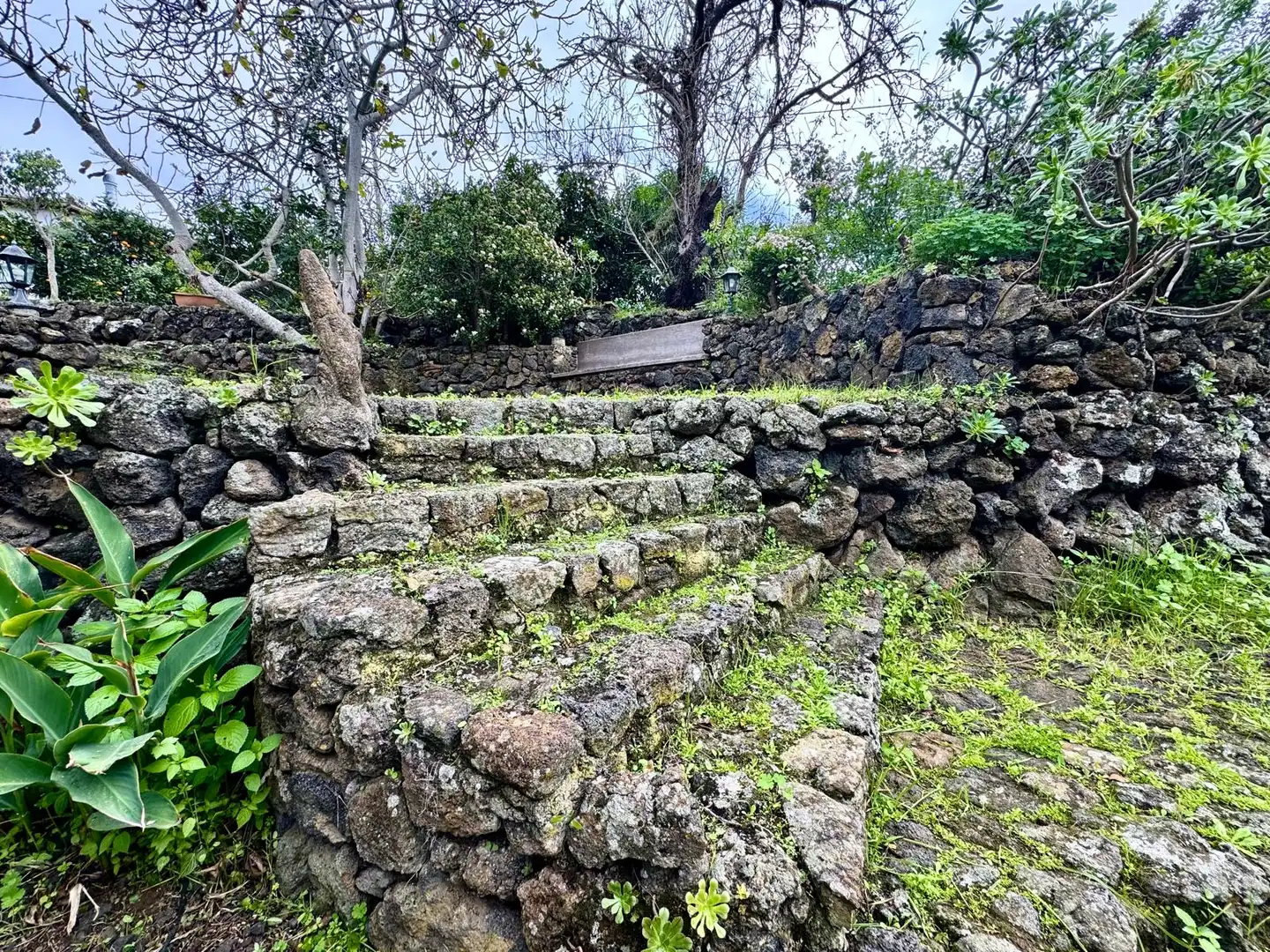 Jardí de Finca rústica en venda en Icod de los Vinos amb Jardí privat, Terrassa i Piscina