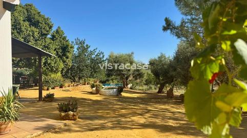 Foto 5 de Finca rústica en venta en Mairena del Alcor, Sevilla