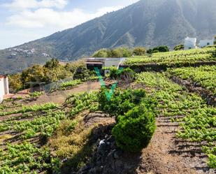 Vista exterior de Finca rústica en venda en La Orotava amb Jardí privat, Terrassa i Traster