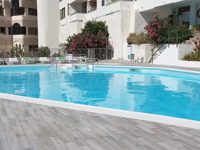 Swimming pool of Flat for sale in Mogán  with Swimming Pool
