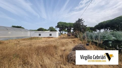 Foto 5 de Finca rústica en venta en Las Tres Piedras - Costa Ballena, Chipiona